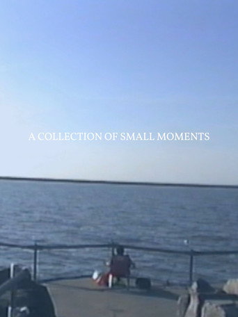 Movie poster for A Collection of Small Moments