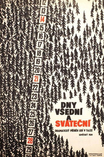 Weekdays and Holidays poster