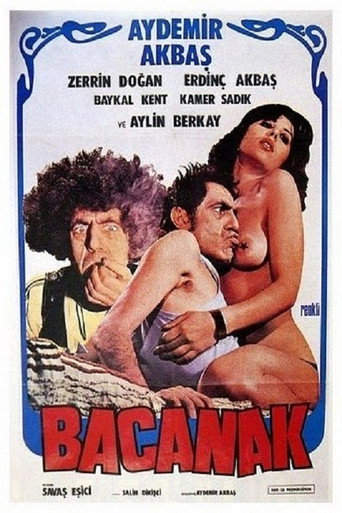 Movie poster for Bacanak (1979)