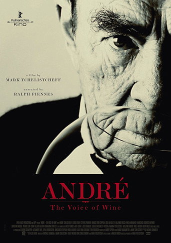 Movie poster for André: The Voice of Wine (2017)