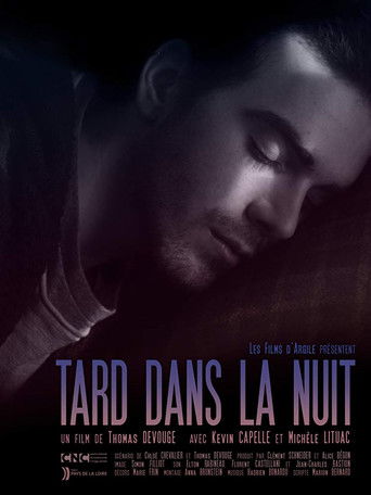 Late at Night poster