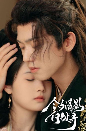 今夕清影何处寻 poster