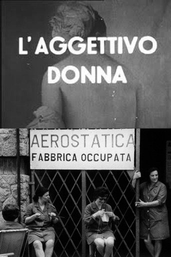 Movie poster for The Adjective Woman (1971)