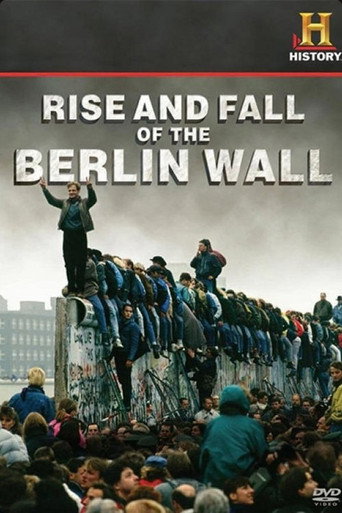 Rise and Fall of the Berlin Wall poster