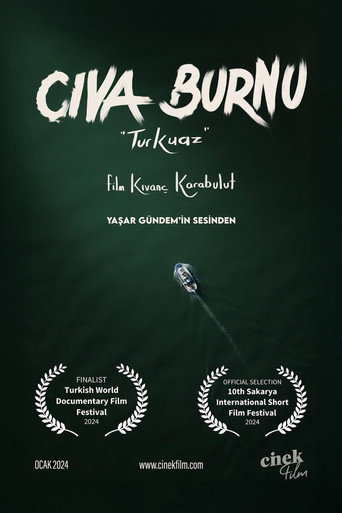 Movie poster for Cıva Burnu "Turkuaz" (2024)