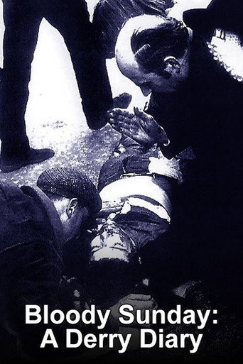 Movie poster for Bloody Sunday: A Derry Diary (2010)