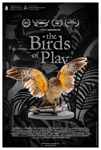 Movie poster for The Birds of Play (2019)