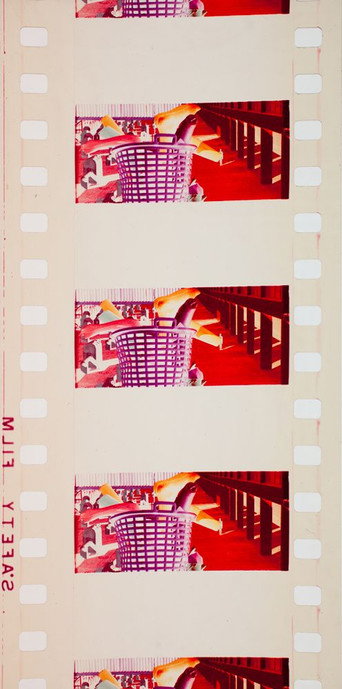 Movie poster for Model (1974)