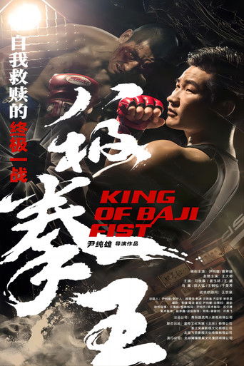King of Baji Fist poster