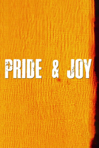 Movie poster for Pride & Joy (2012)
