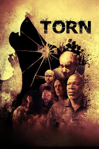 Movie poster for Torn (2023)