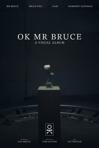 Movie poster for OK MR BRUCE (2026)