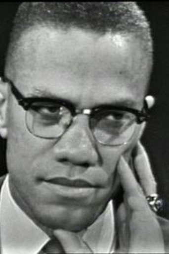 Movie poster for The Negro and the American Promise (1963)