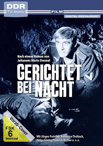 Gerichtet bei Nacht poster