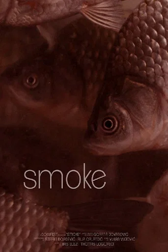 Movie poster for Smoke (2015)
