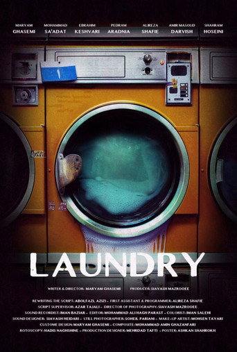 Movie poster for Laundry