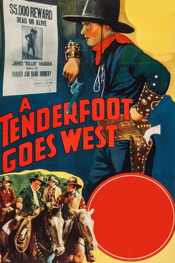 Movie poster for A Tenderfoot Goes West (1936)