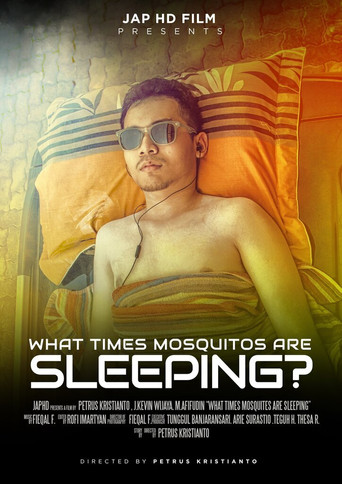 Movie poster for What Times Mosquitos Are Sleeping? (2018)