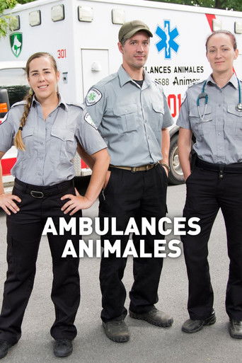 Ambulances animales poster