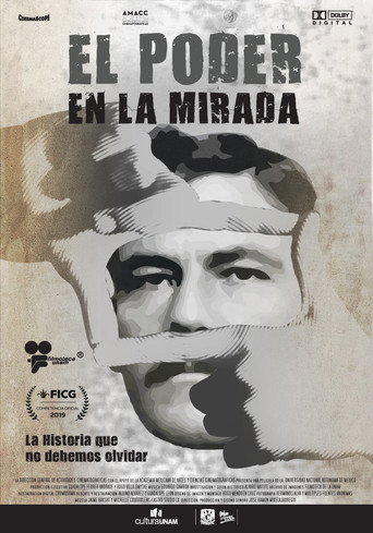 Movie poster for Glancing At Power (2019)