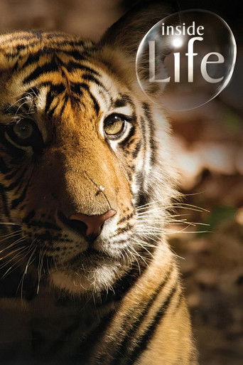 Inside Life poster