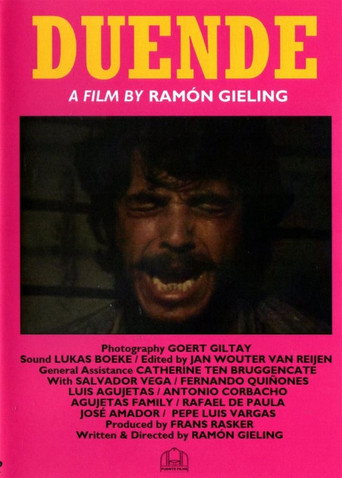 Movie poster for Duende
