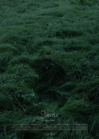 Movie poster for Grain (2023)