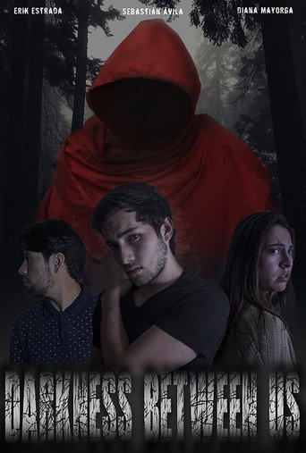 Movie poster for Darkness Between Us (2018)