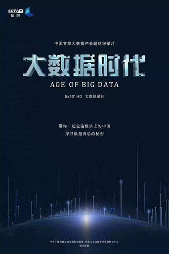 大数据时代 poster
