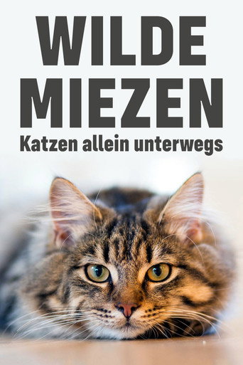 Movie poster for Wilde Miezen - Katzen allein unterwegs (2017)