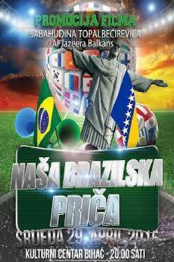 Movie poster for Our Brazilian Story (2014)