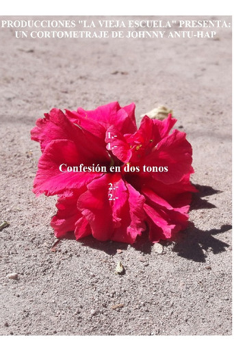 Movie poster for Confesión en dos tonos (2020)