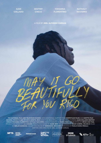 Movie poster for May It Go Beautifully for You, Rico (2024)