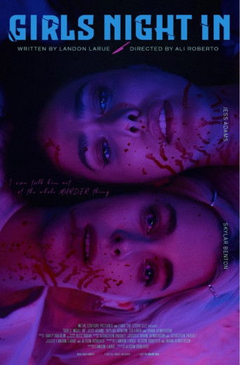 Girls Night In poster