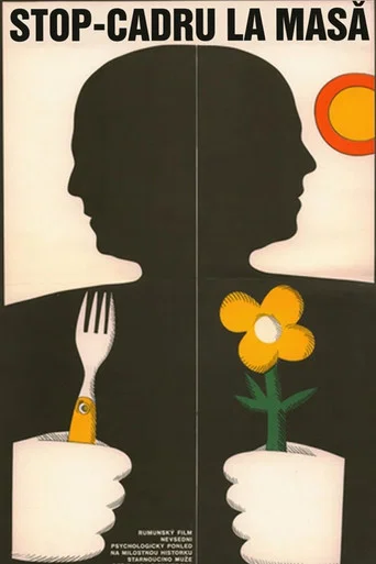 Movie poster for Snapshot Around the Family Table (1980)