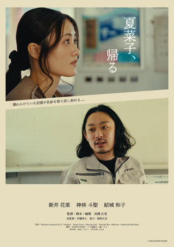 Movie poster for Laundromat (2023)