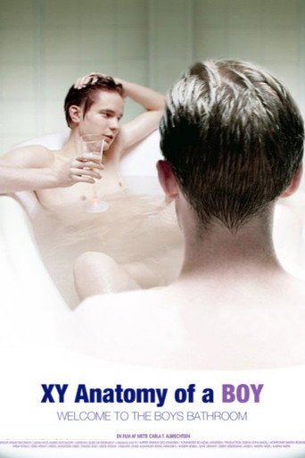 Movie poster for XY Anatomy of a Boy (2009)