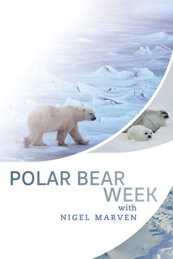 Polar Bear Week with Nigel Marven poster