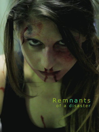 Movie poster for Remnants of a Disaster (2014)