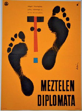 The Naked Diplomat poster