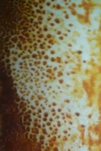 Movie poster for Untitled #1 (sun vision) (2019)