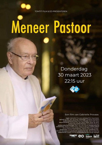 Movie poster for Meneer Pastoor