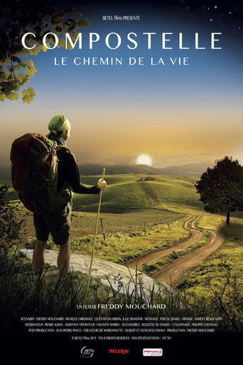 Movie poster for Compostelle, le chemin de la vie (2015)