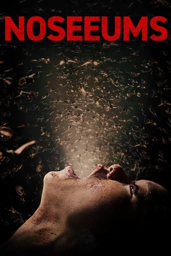Movie poster for Noseeums (2025)