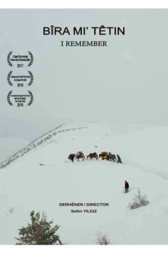 Movie poster for Bîra Mi Têtin (2016)