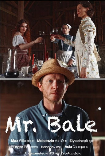 Movie poster for Mr. Bale