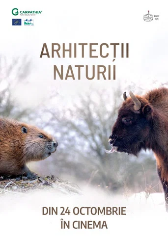 Movie poster for Nature's Architects (2025)