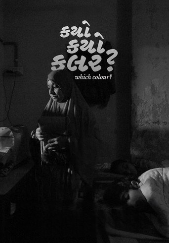 Movie poster for Which Colour? (2023)