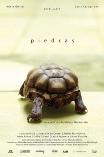 Piedras poster