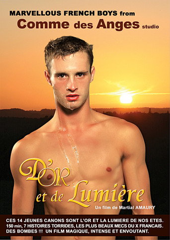 Movie poster for D’Or et de Lumière (2010)